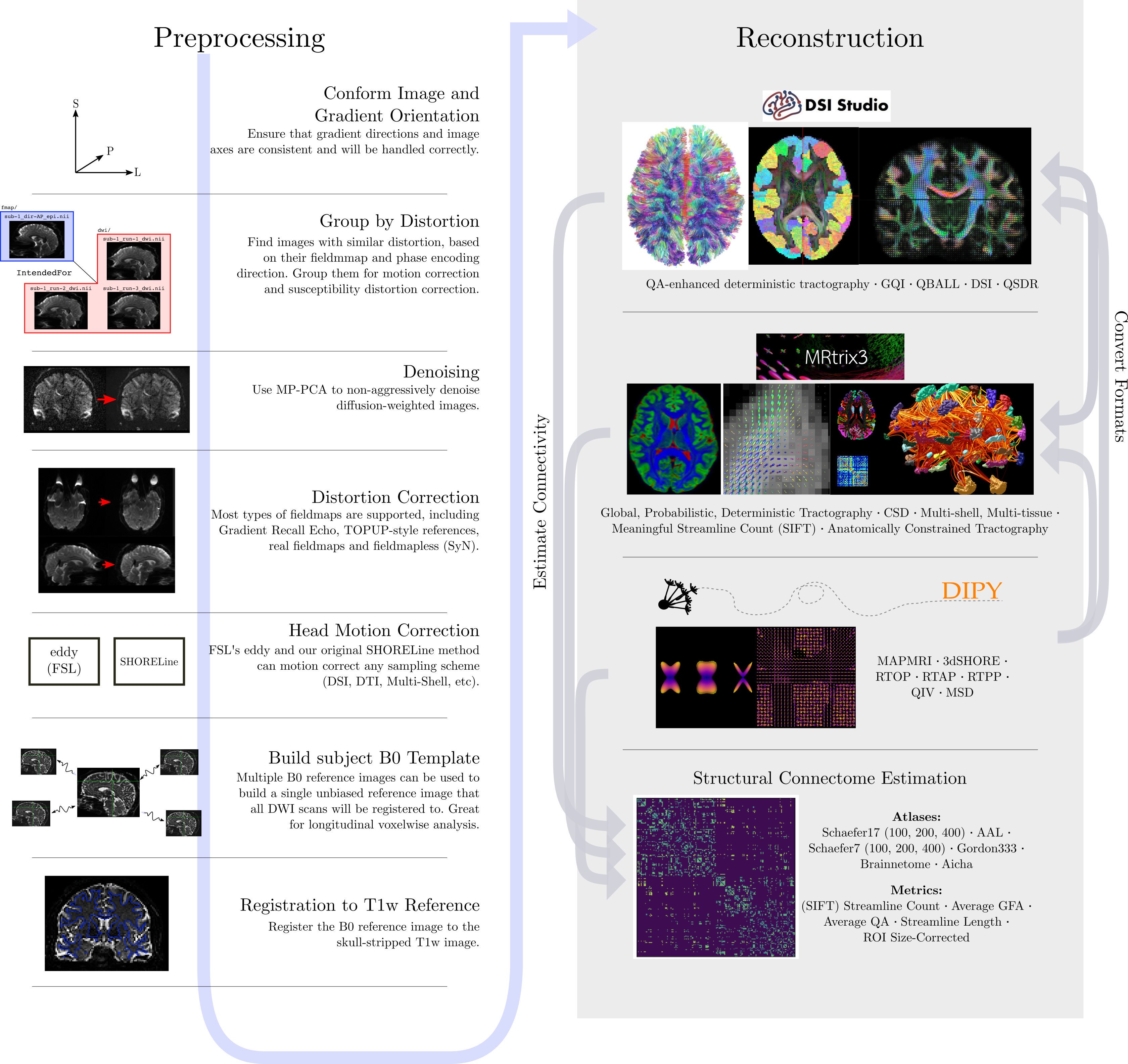 Preprocessing steps